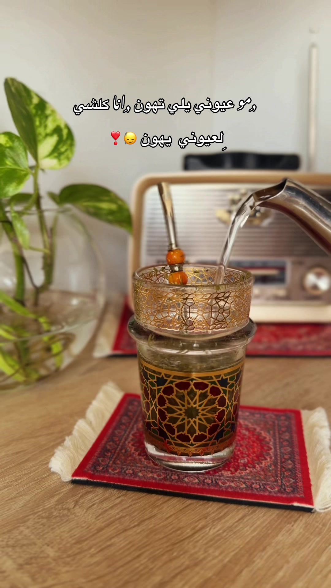 @🌱📸 𝐒𝐀𝐋𝐌𝐀_سلمى