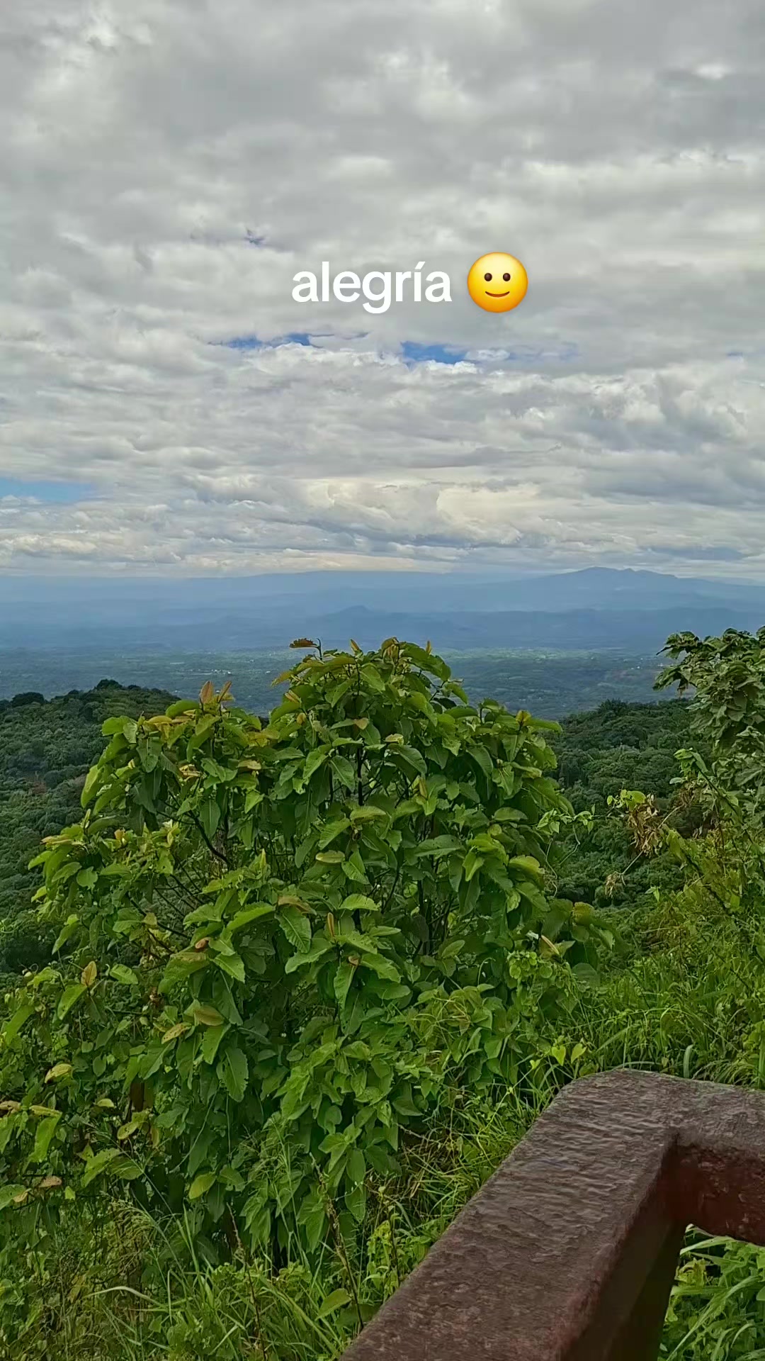 @gorom21