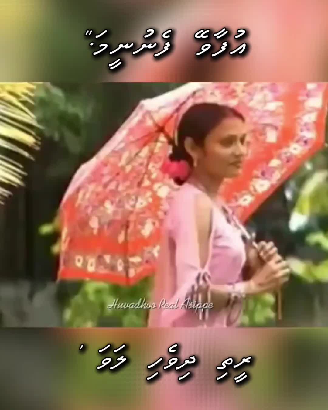 @Huvadhoo Real Asippe 🇲🇻🇵🇸