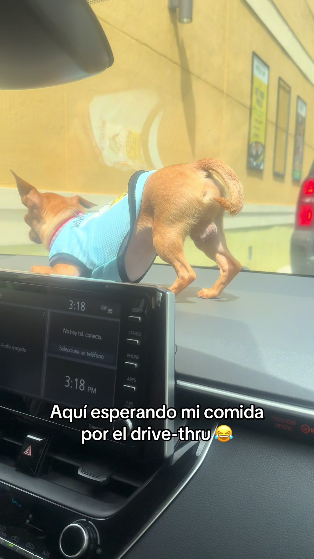 @Gloria Hernandez