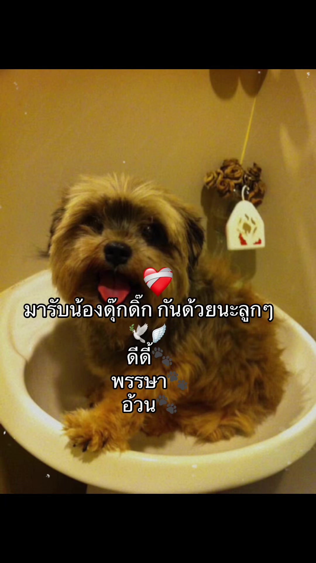 @อิส้มเอ่ยยยยยย