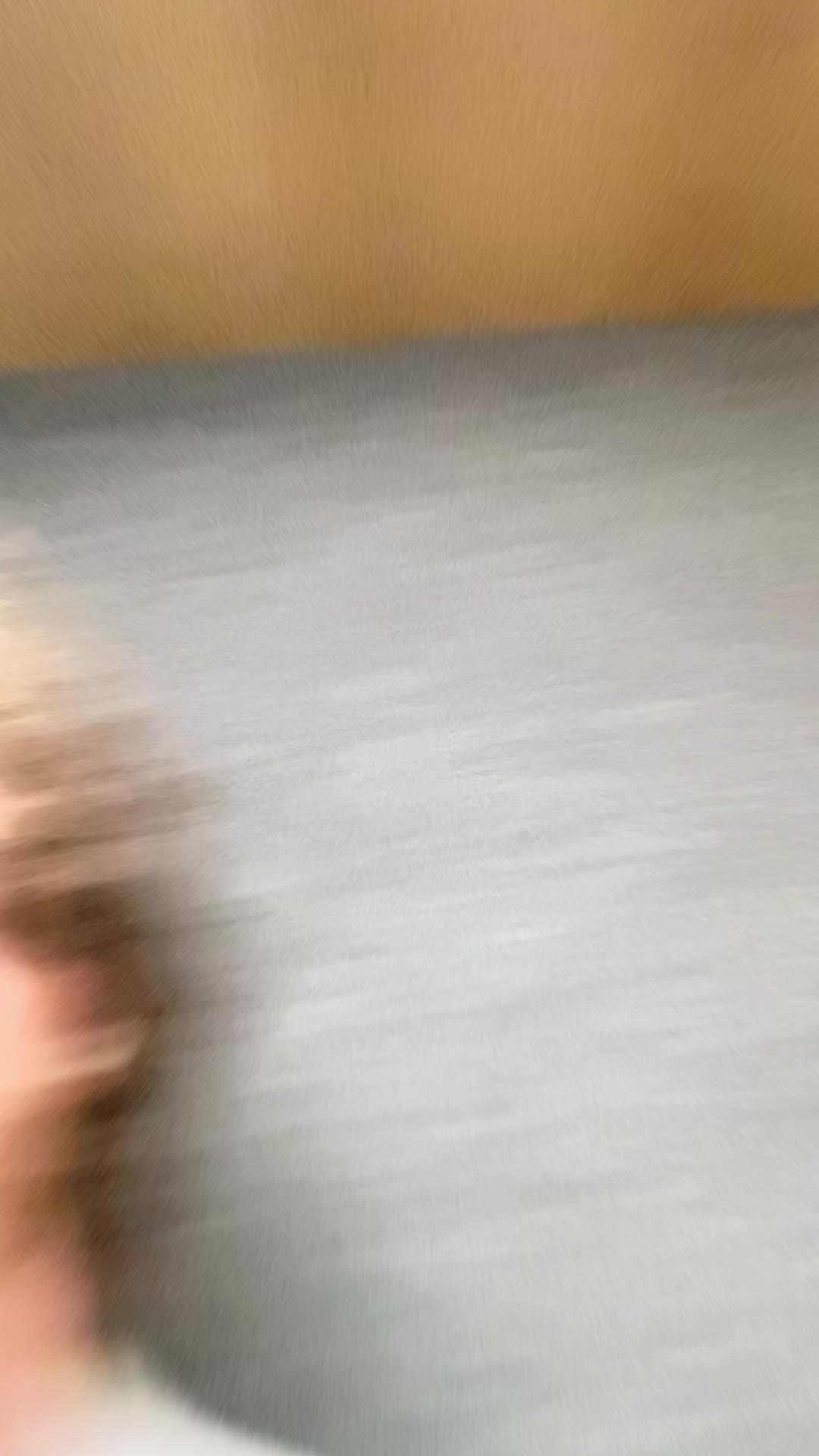@Mr. Artificial Intelligence