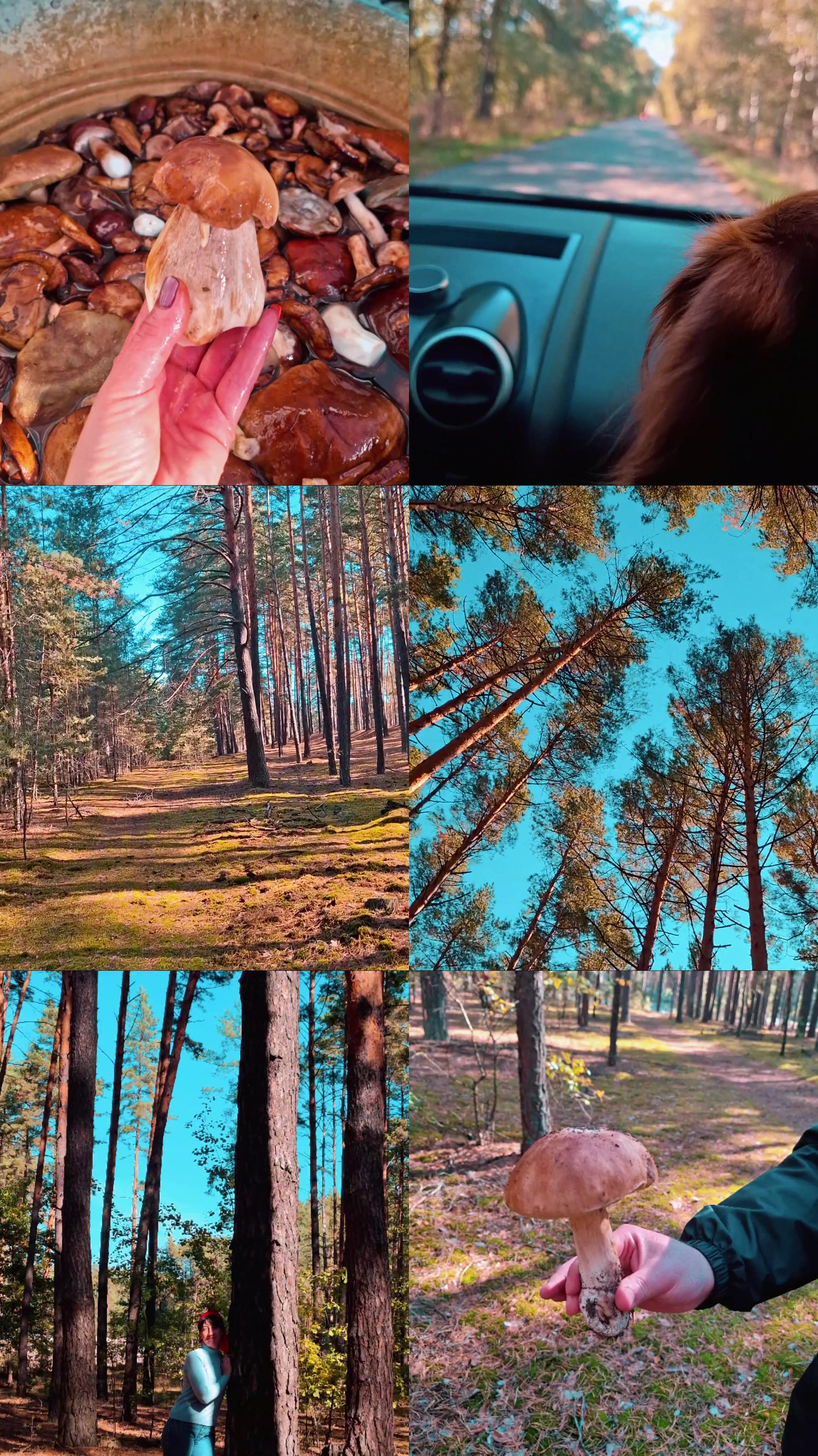 @Ірина