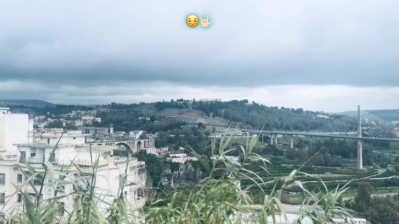 @mizosamra1