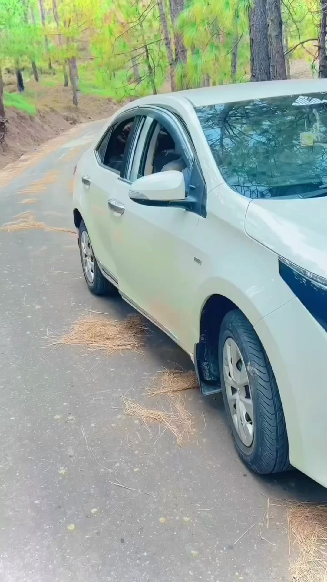 @جاذب سردار💎 (𝟑𝟏𝟑)