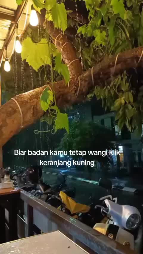 @Zhangze