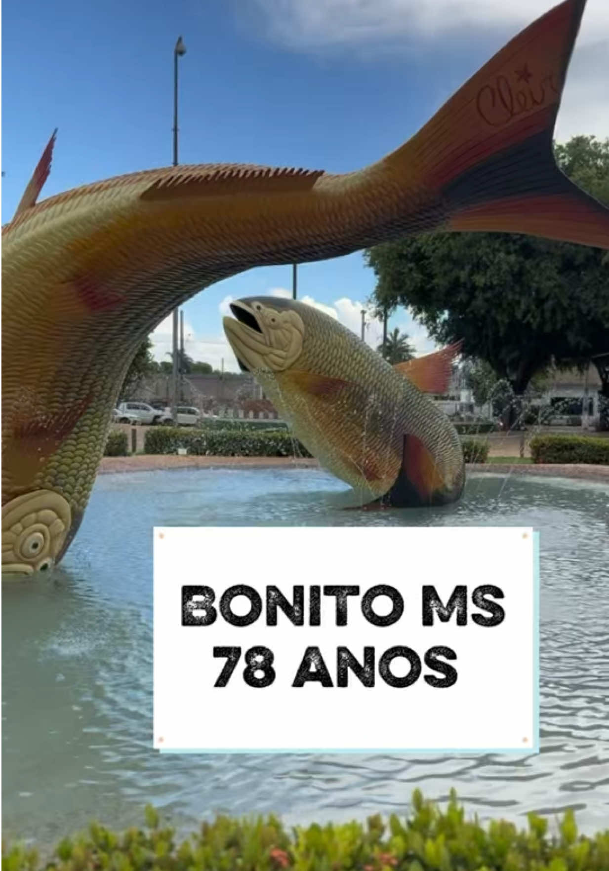 @Batera_88 🥁