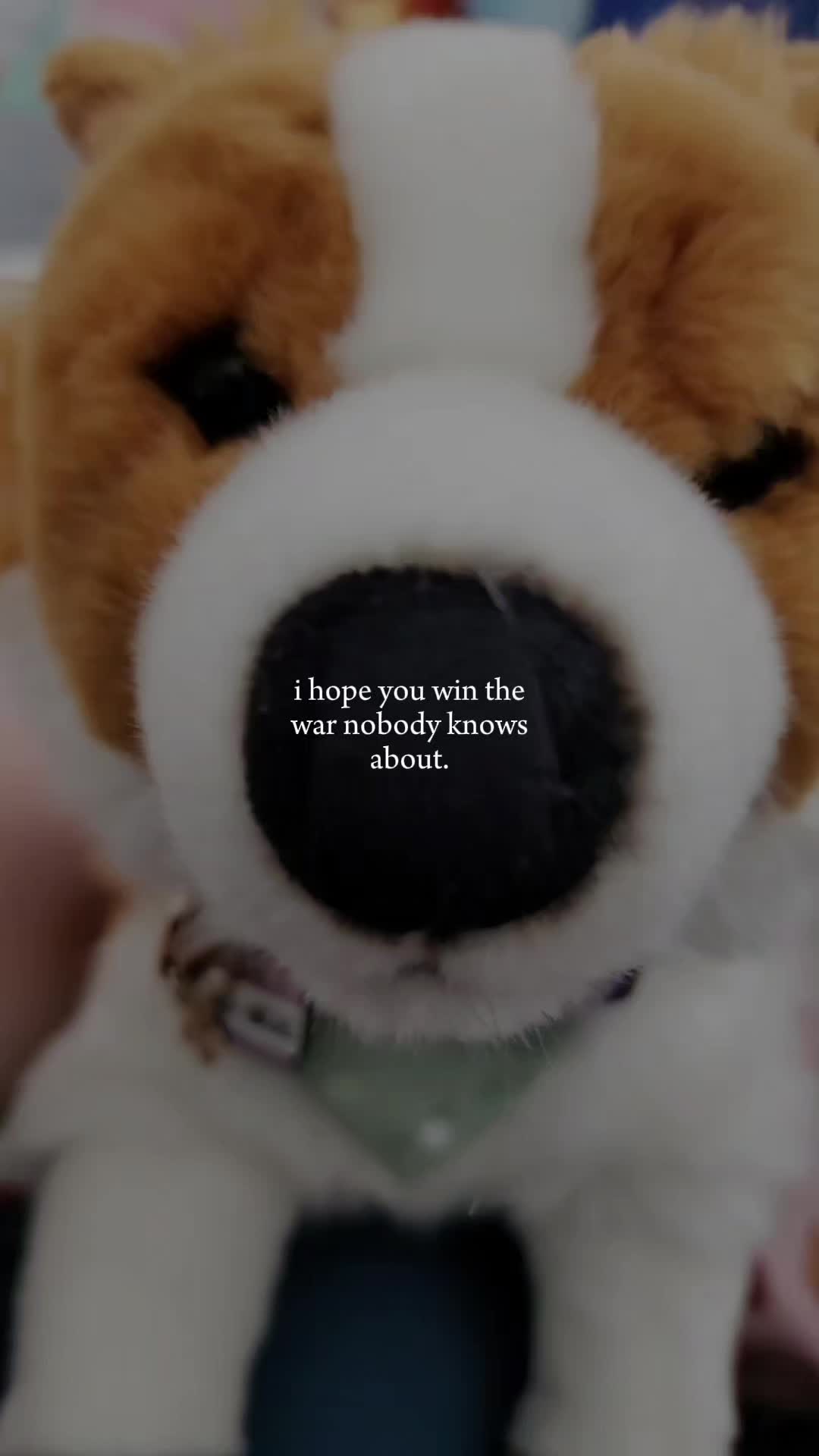 @๐ป Autistix Shiba ๐ณ๏ธ๐