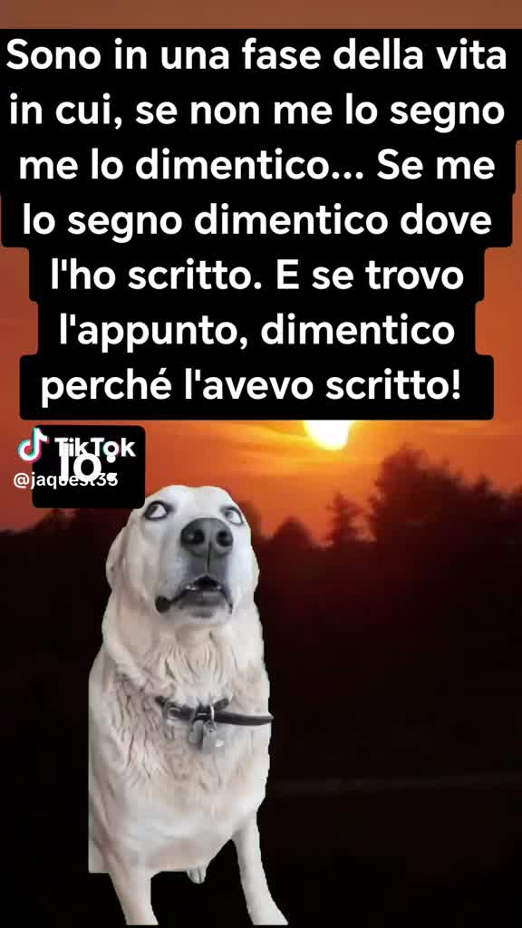 @mariavittoria