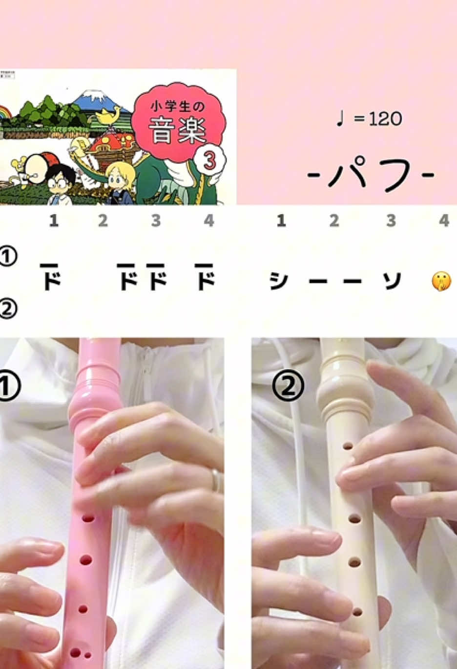 @音楽室のまるちゃん