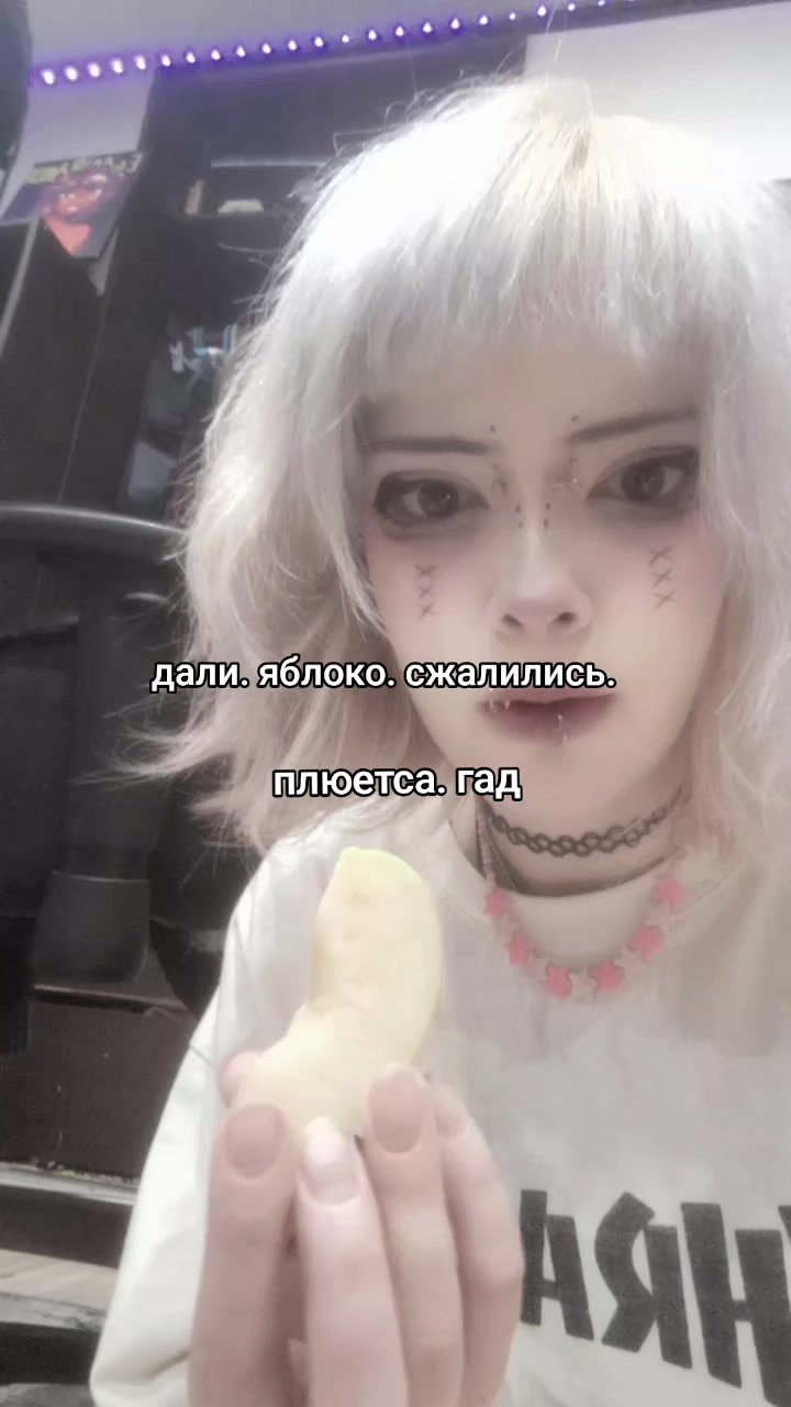 @додо рапира