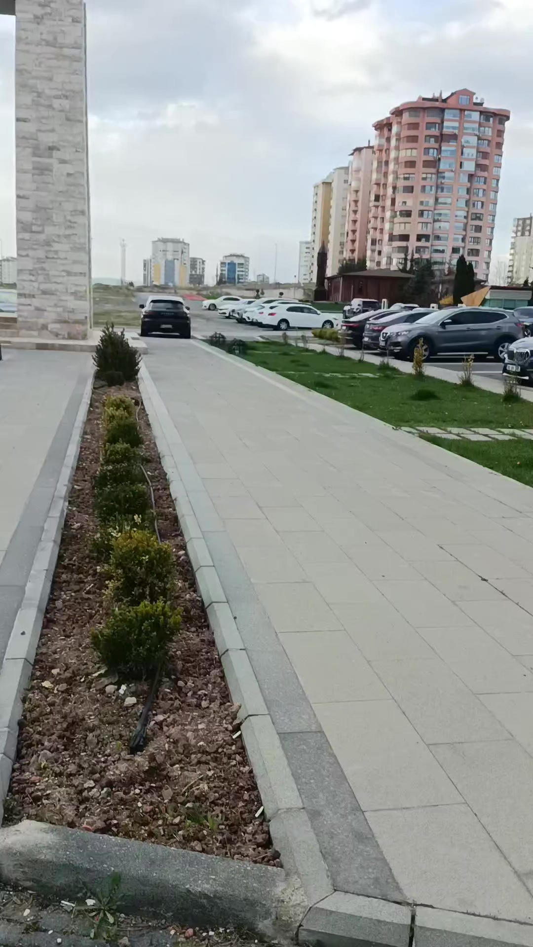 @🌹Sivas 🌹gülü 🌹