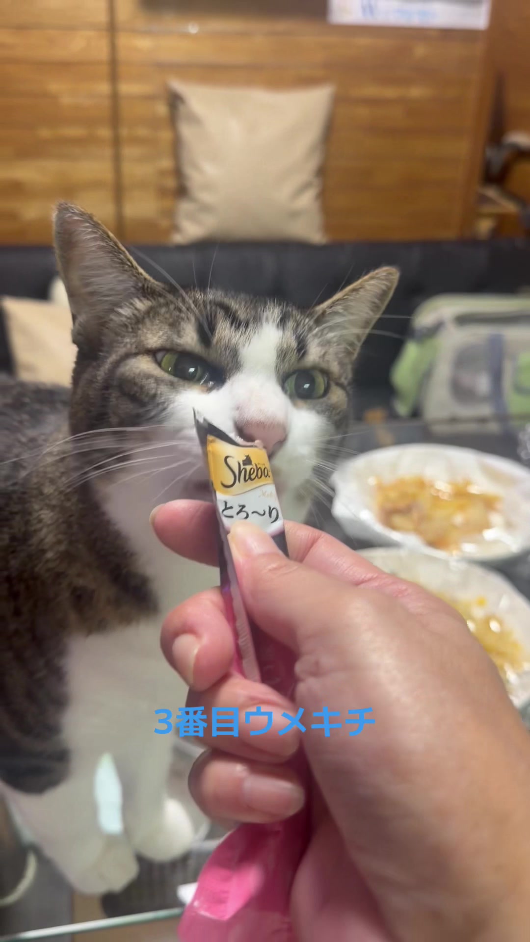 @てるぼー
