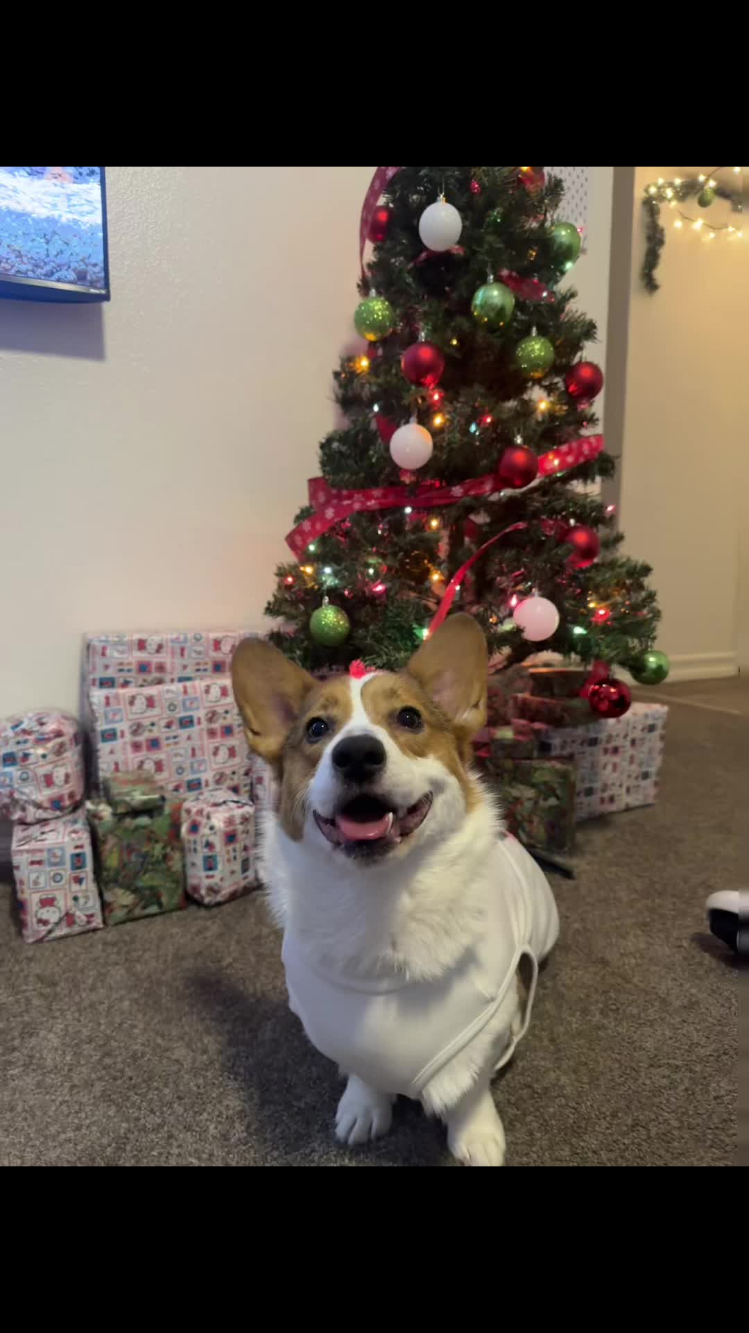 @aerusroommate