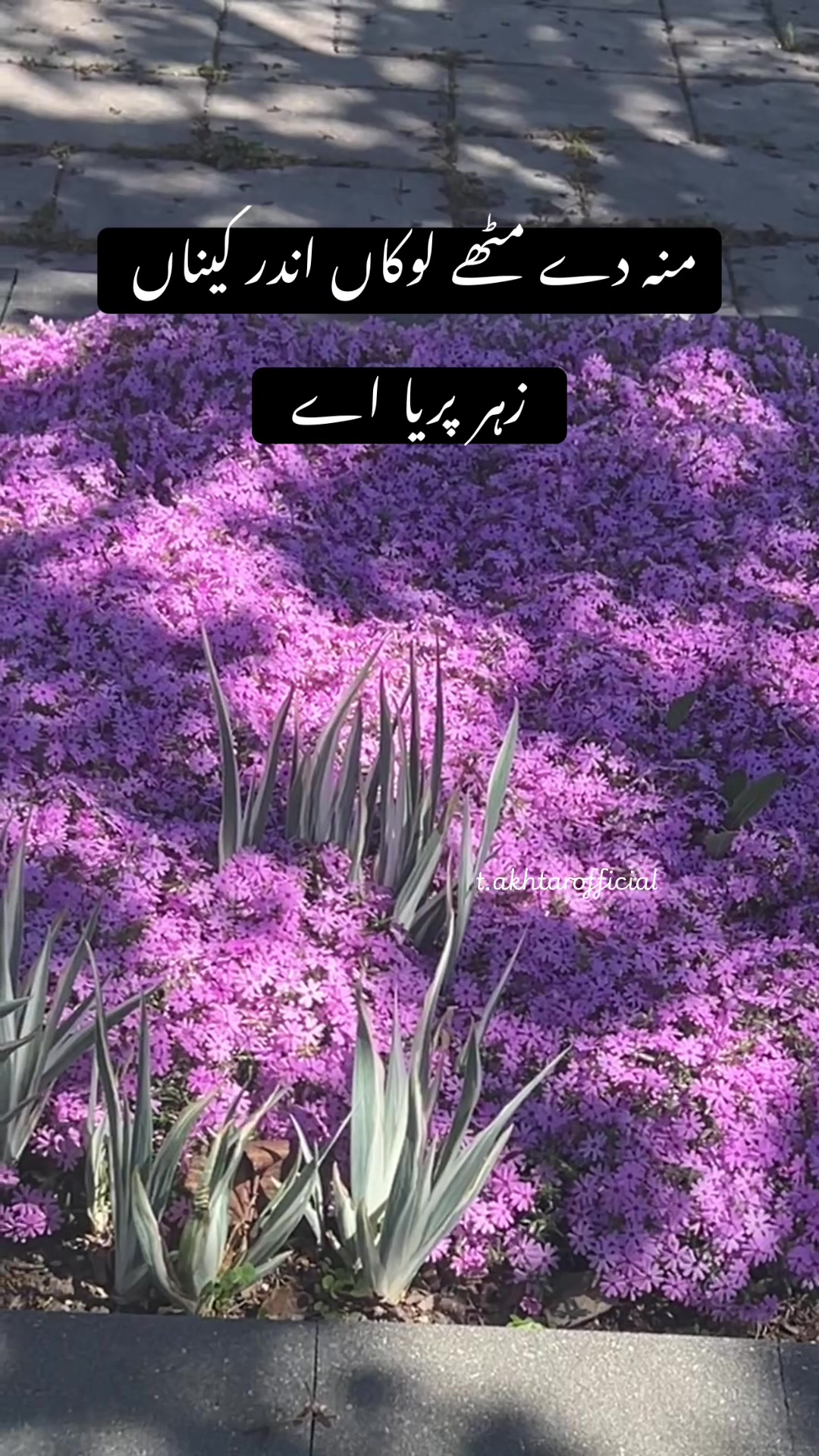 @T.Akhtar Official