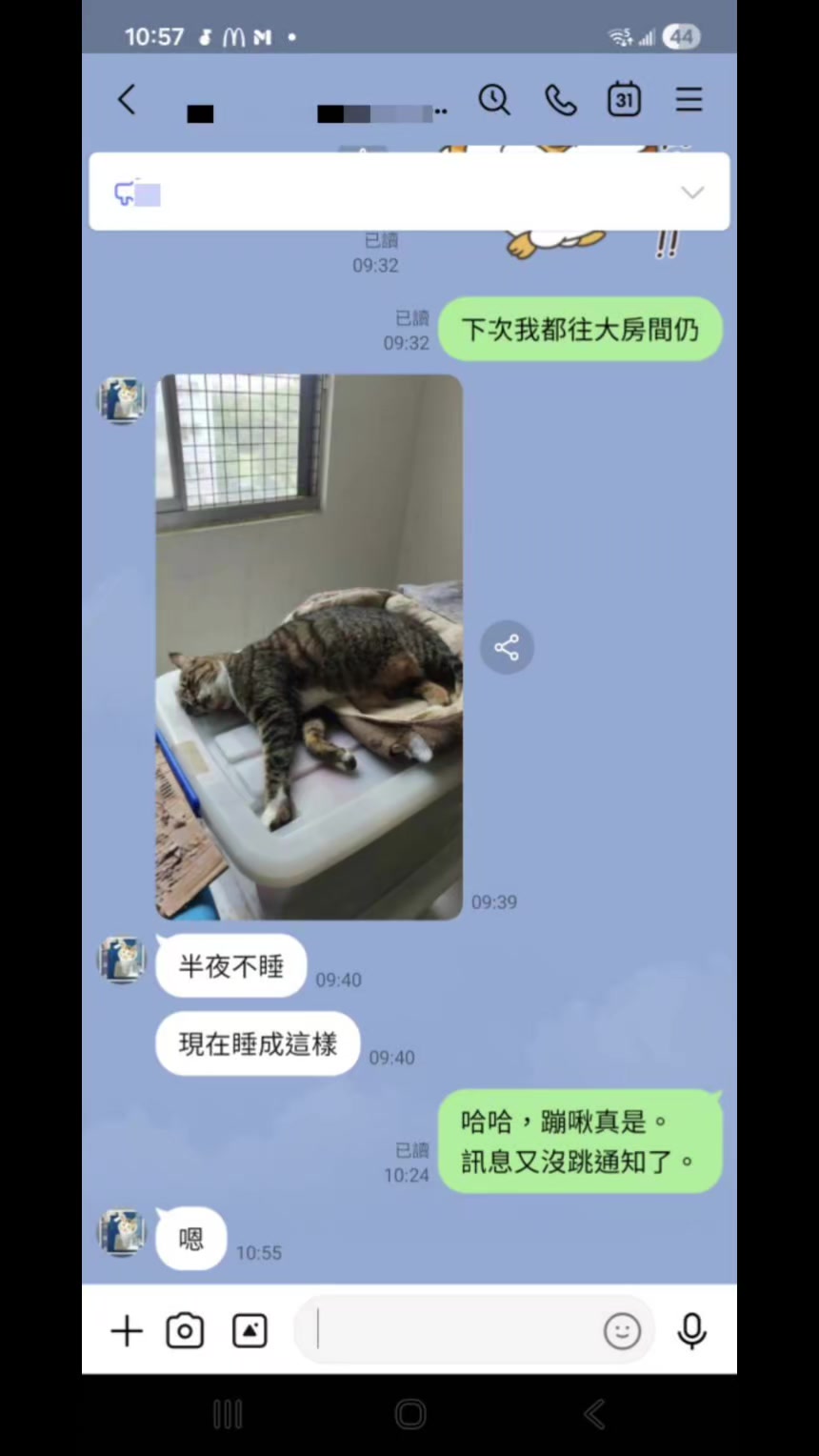 @糧巢偉-貓咪執事