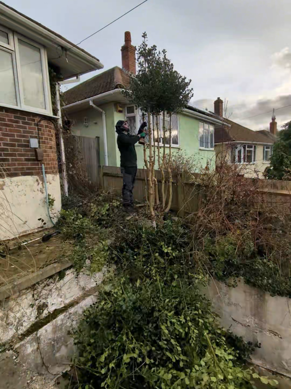 @Gary Hall Garden Services
