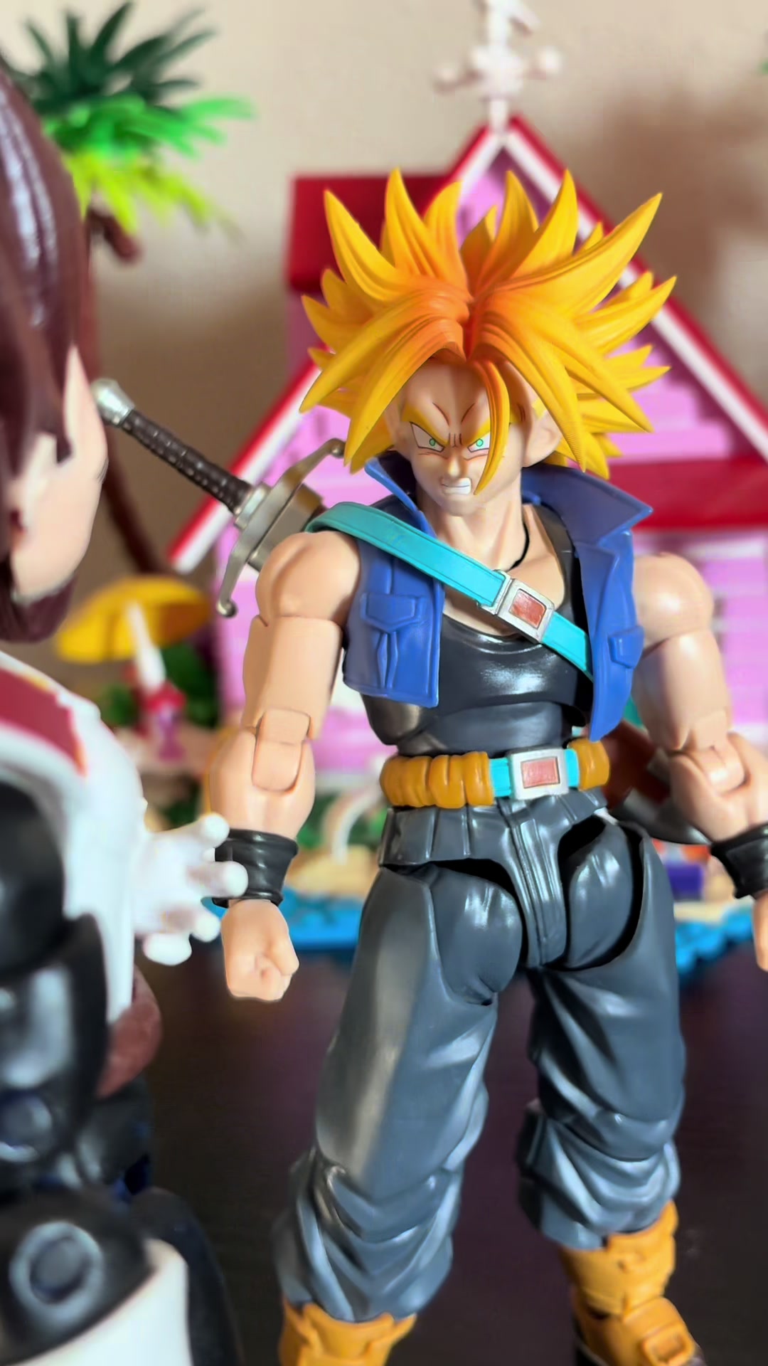 @Kame Sennin