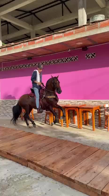 @Camilo Zamora ✓
