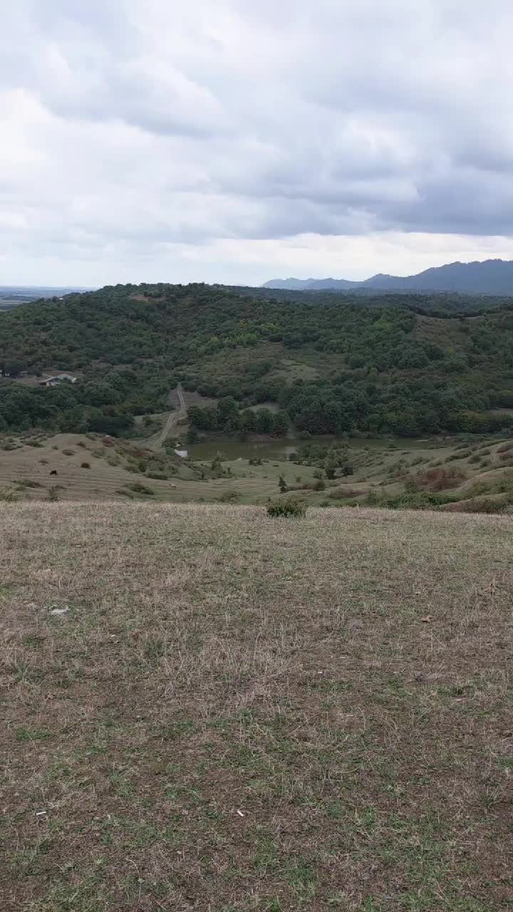 @лев