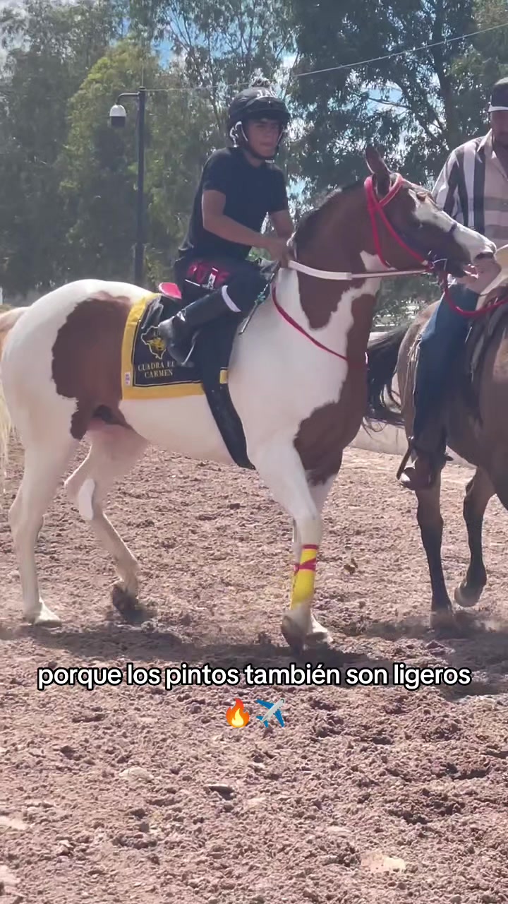 @carriles altos de jalisco🐎