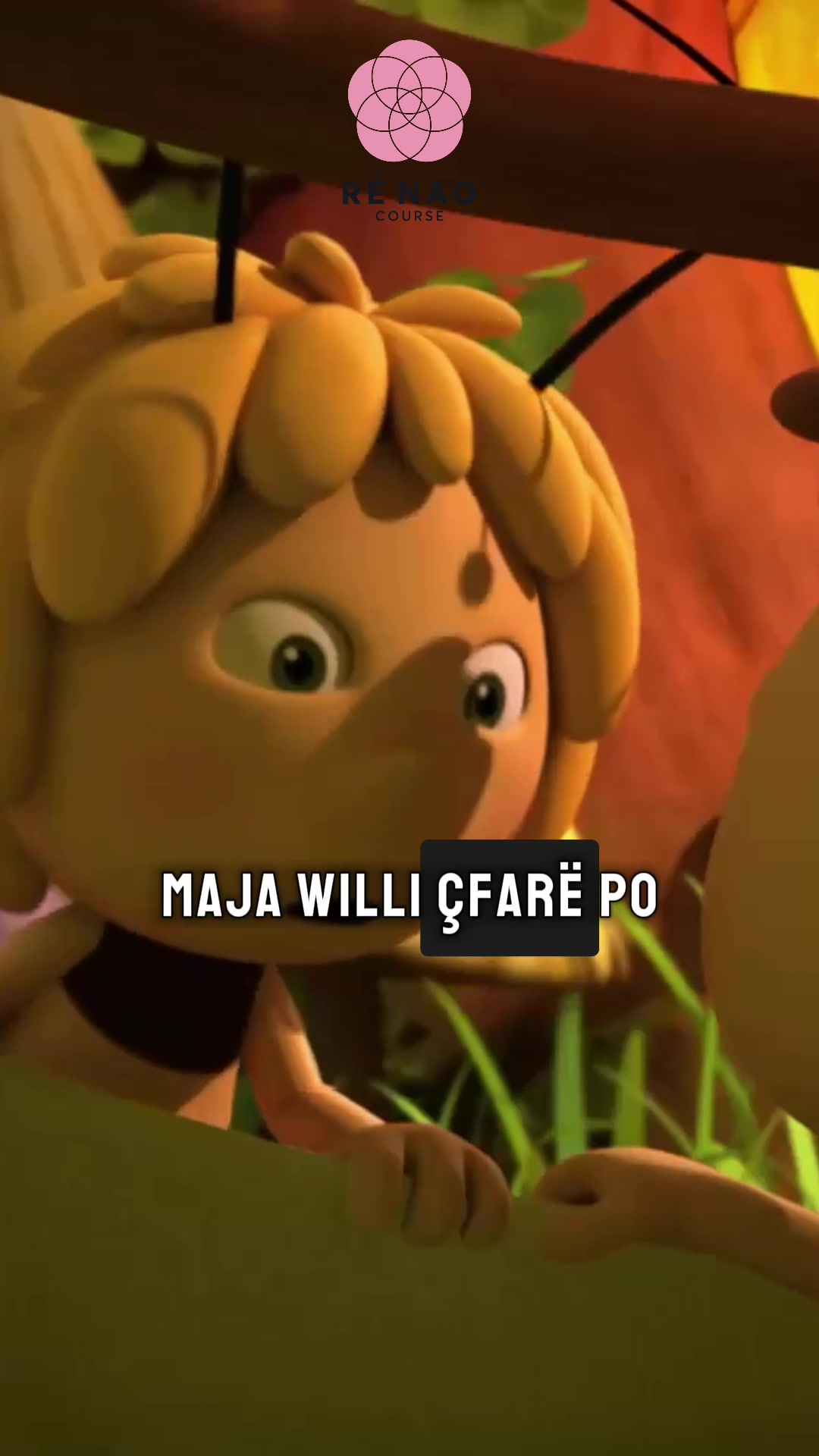 @Renaocourse
