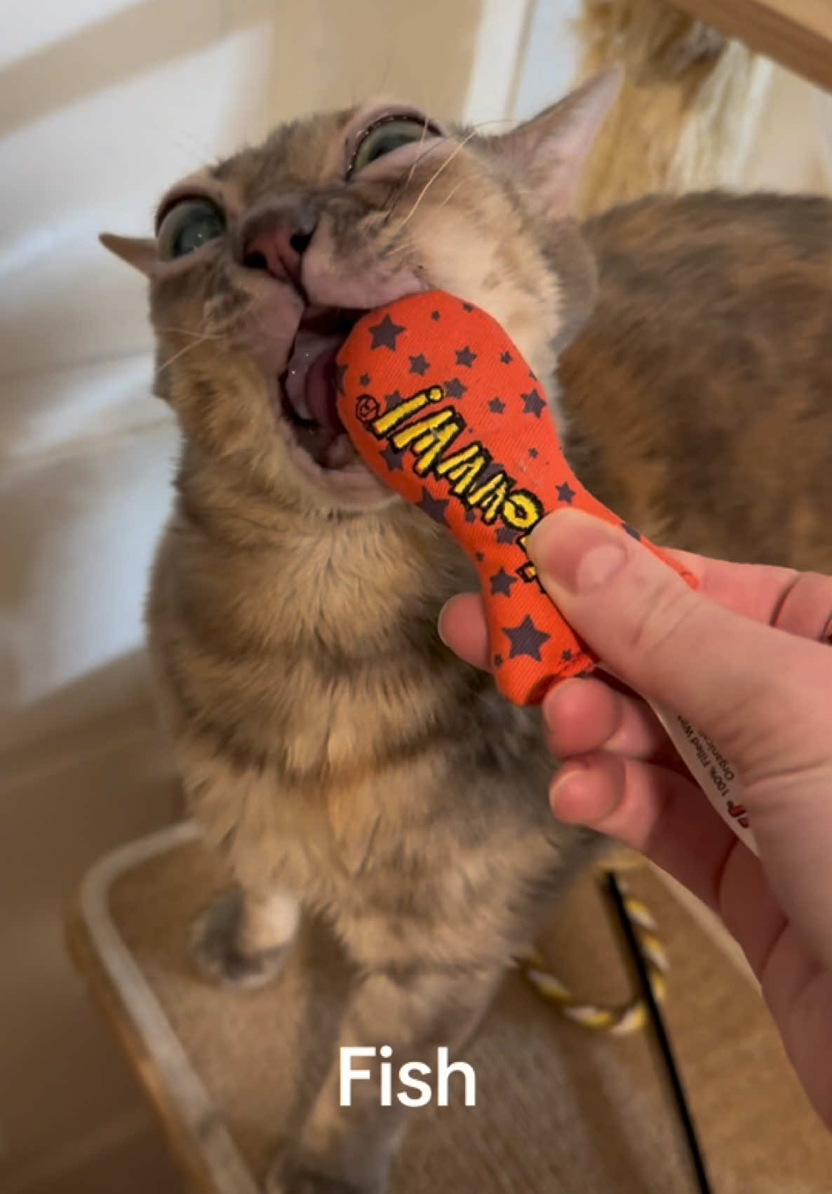 @Gumbus