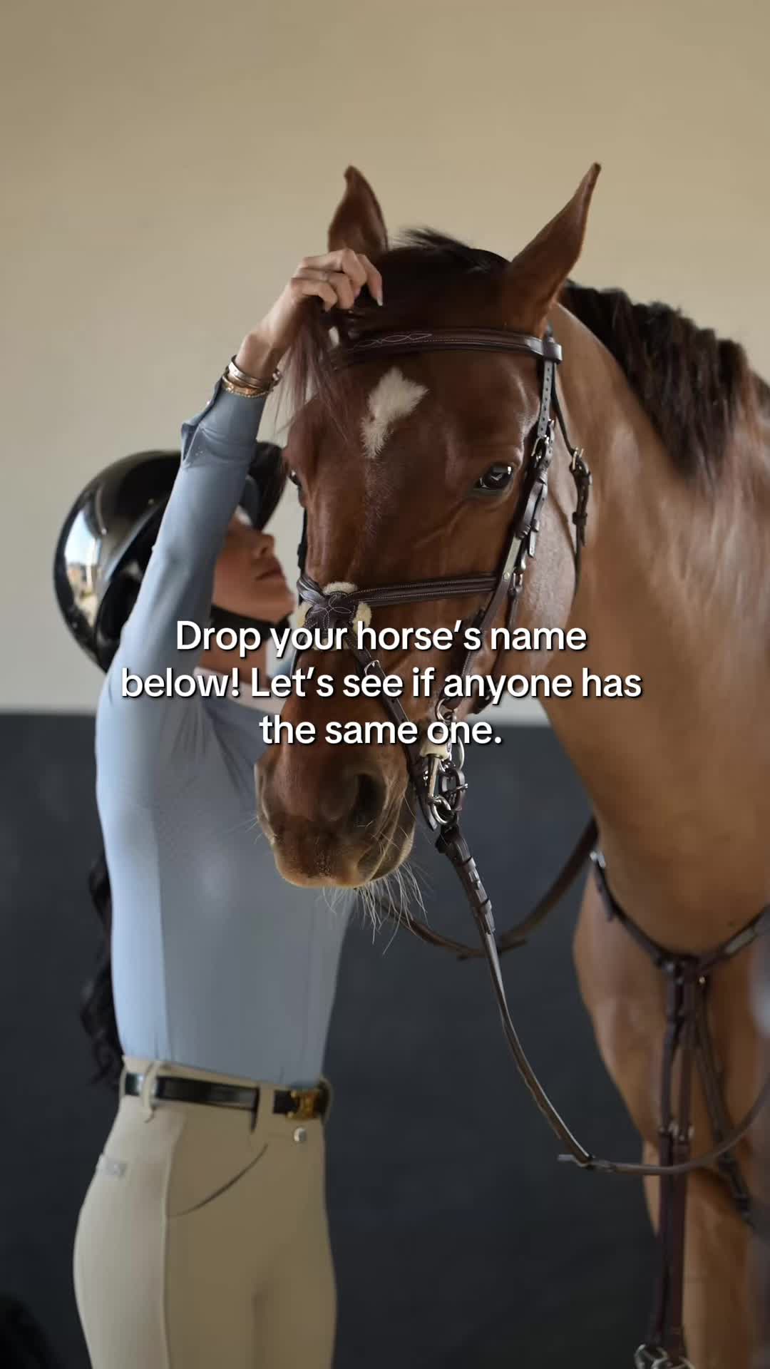 @Free Ride Equestrian