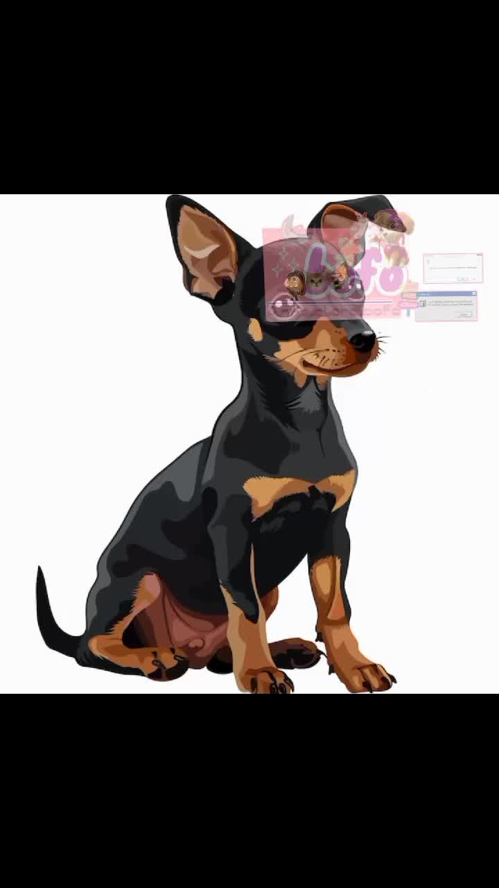 @‧˚꒰ 🐶taz rant🐾୭ ˚. ᵎᵎ