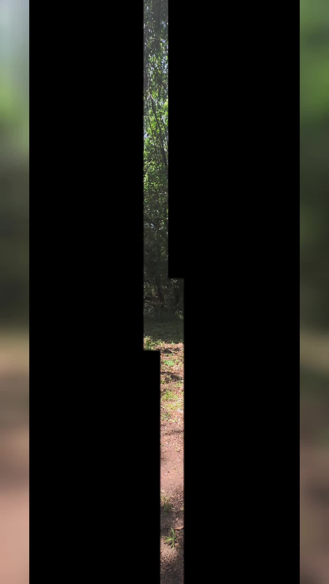 @twizted_taco
