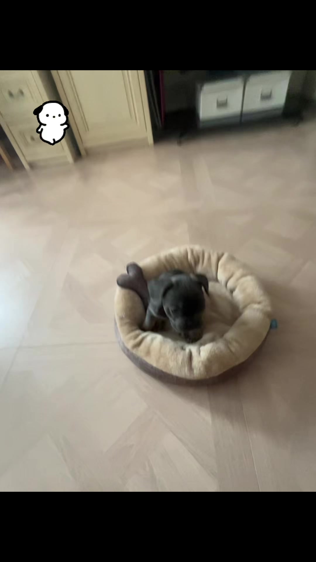 @тгк:zzz🆙