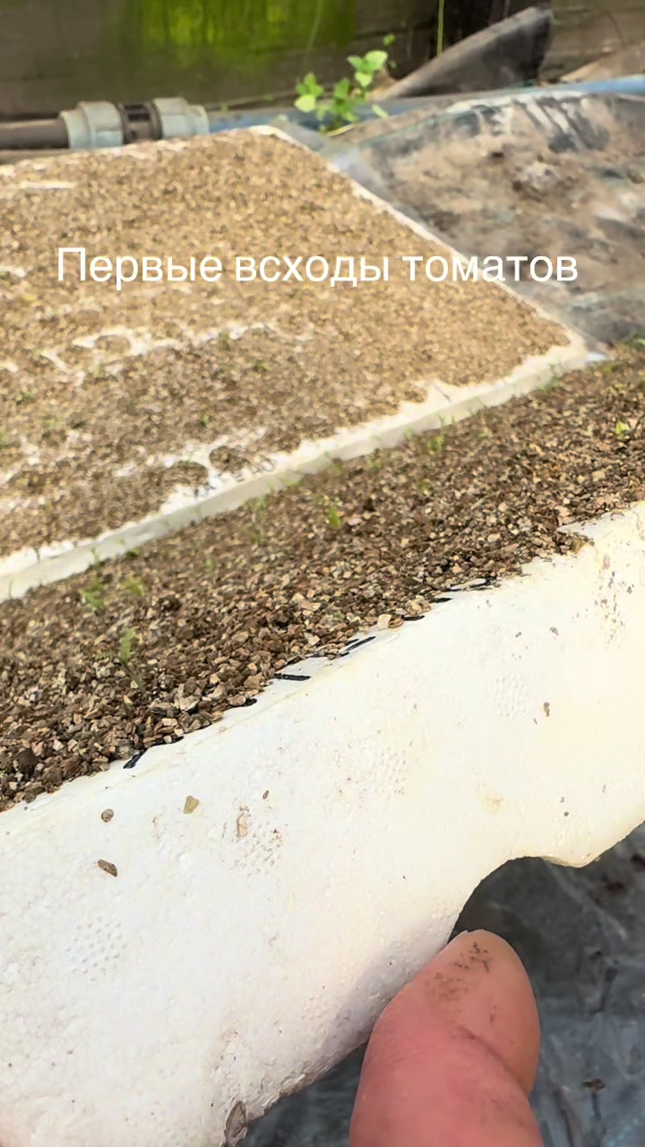 @26 соток