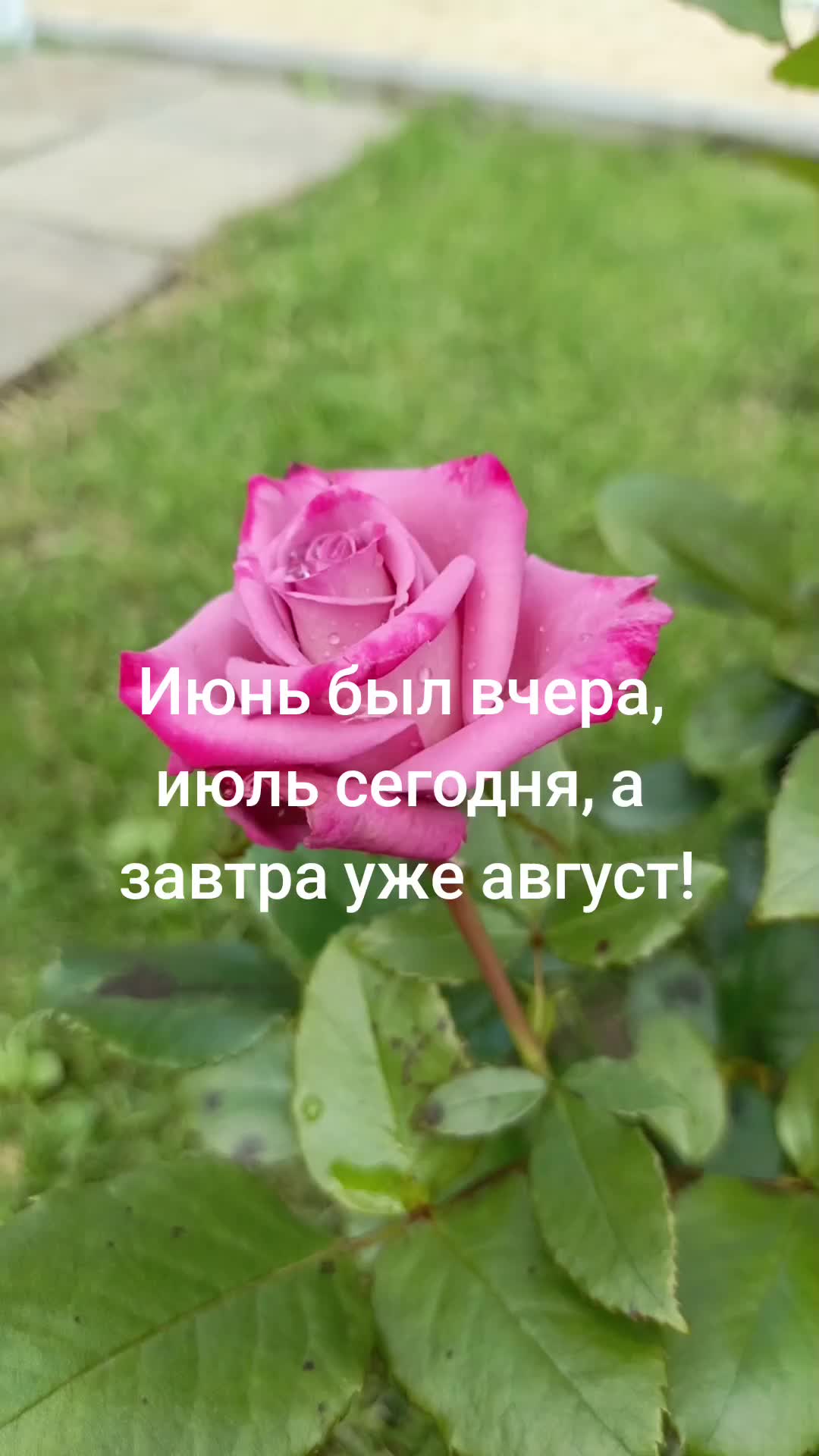 @marusechka