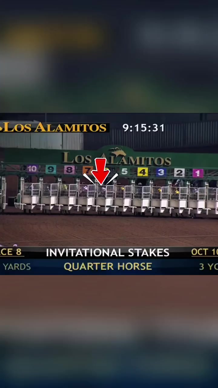 @carriles altos de jalisco🐎