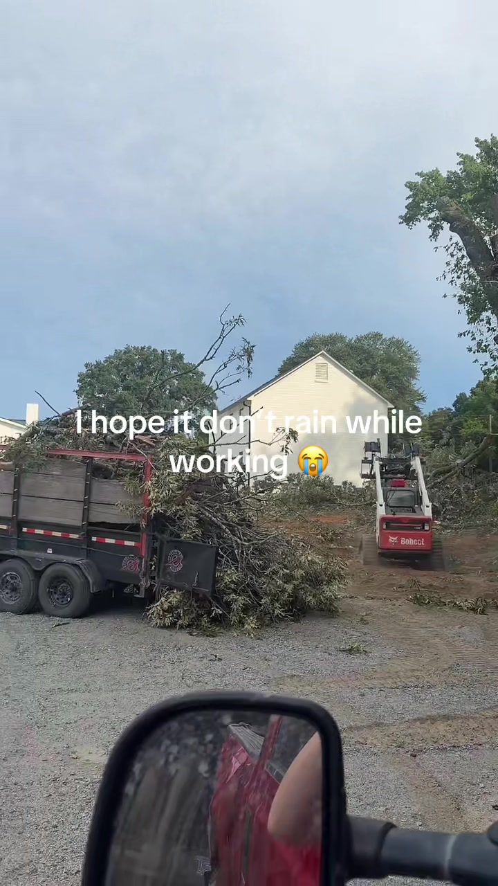@Stihl1801