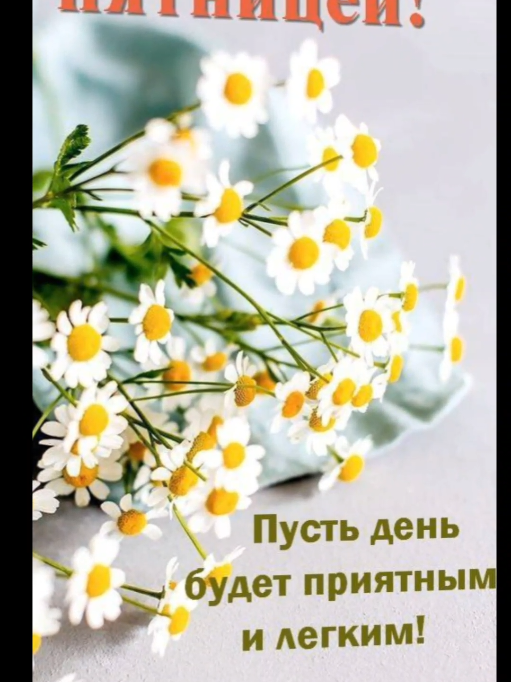 @Elenka