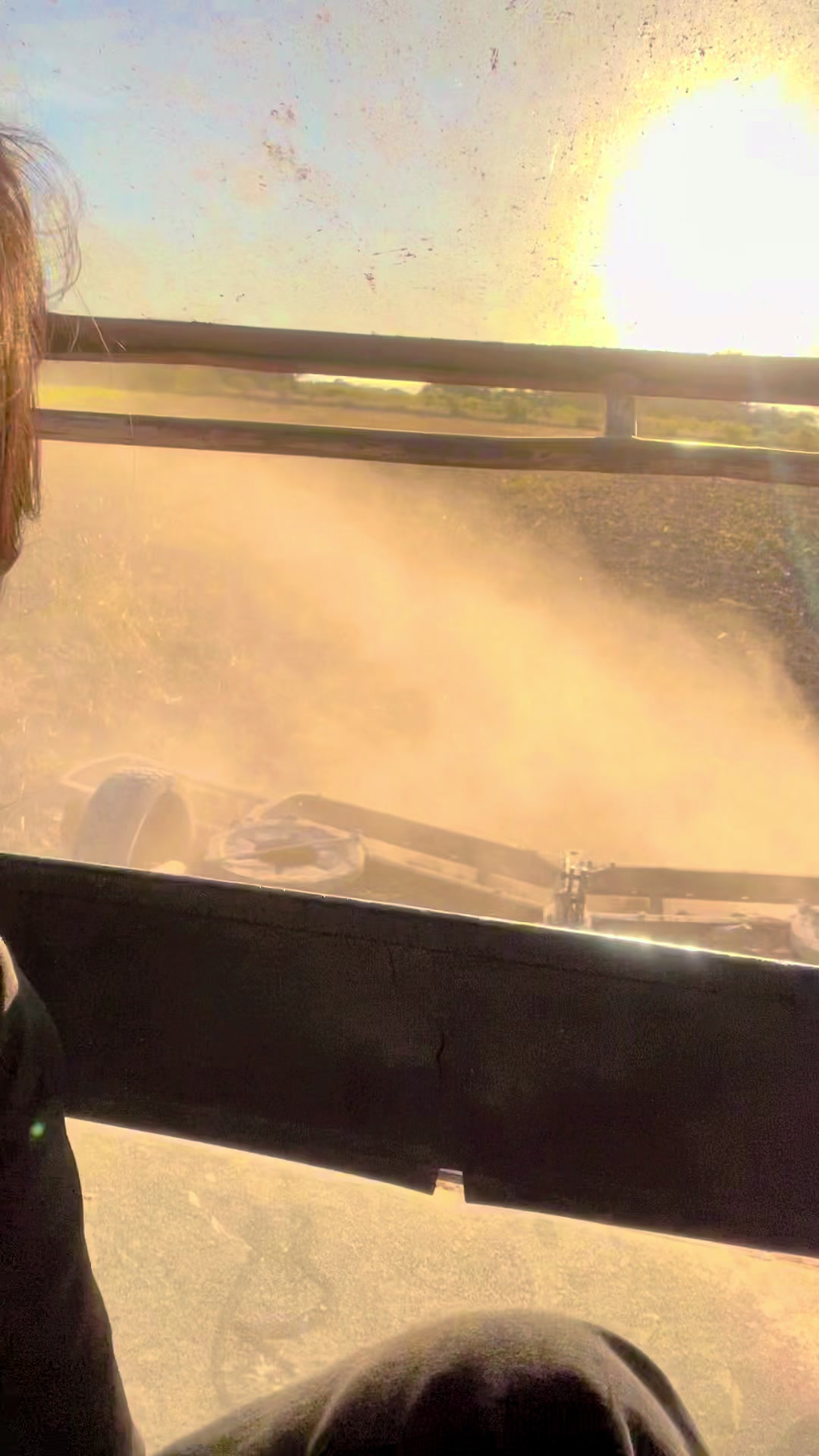 @Araceli zorzon