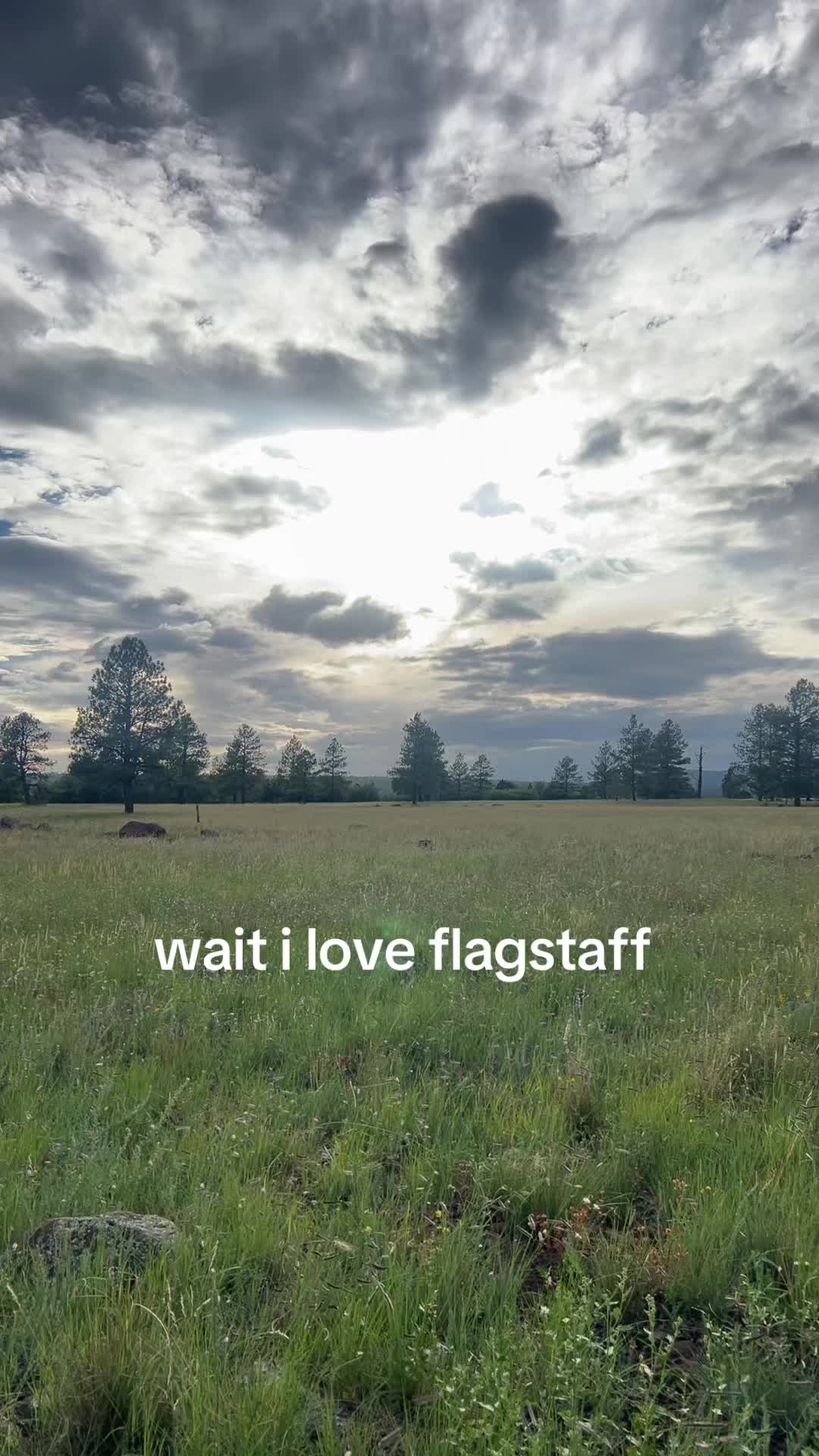 @jenna 🪷