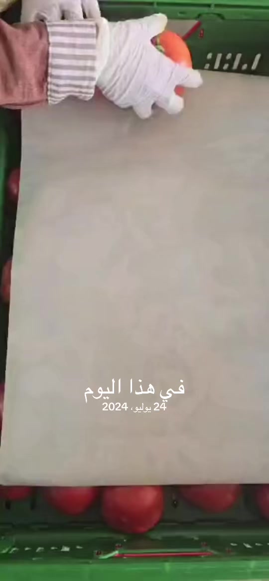 @๐ฉุบููู๐ช๐บโ๐พ๐๐ถ