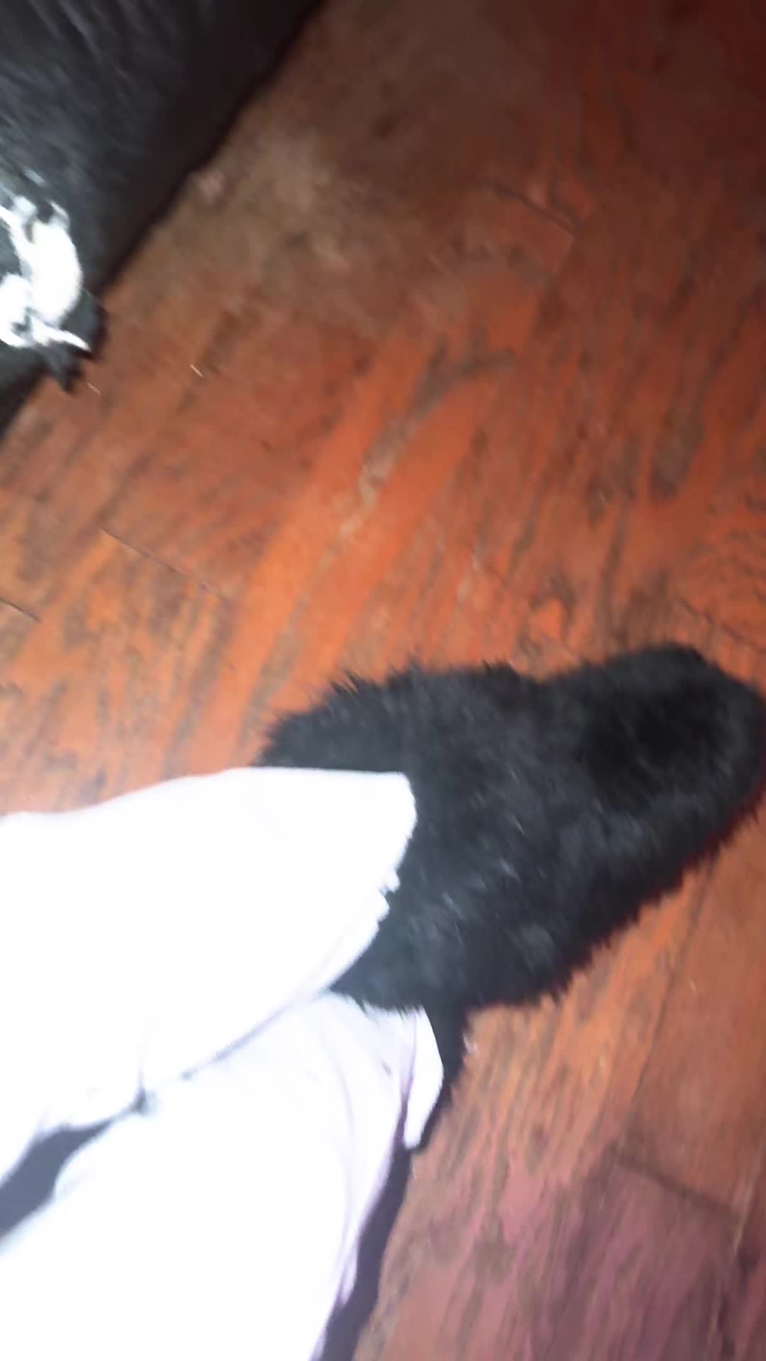 @c4ndycoatedcorpse