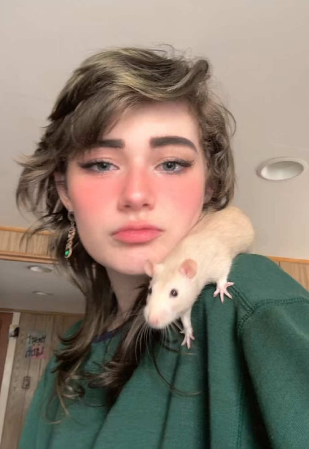 @lookatmyrodents