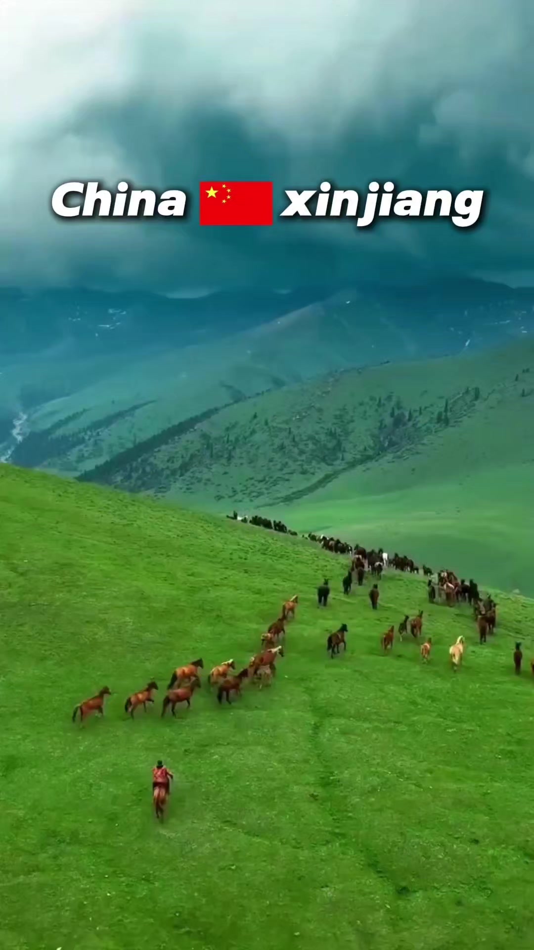 @China Inbound Tourism🇨🇳