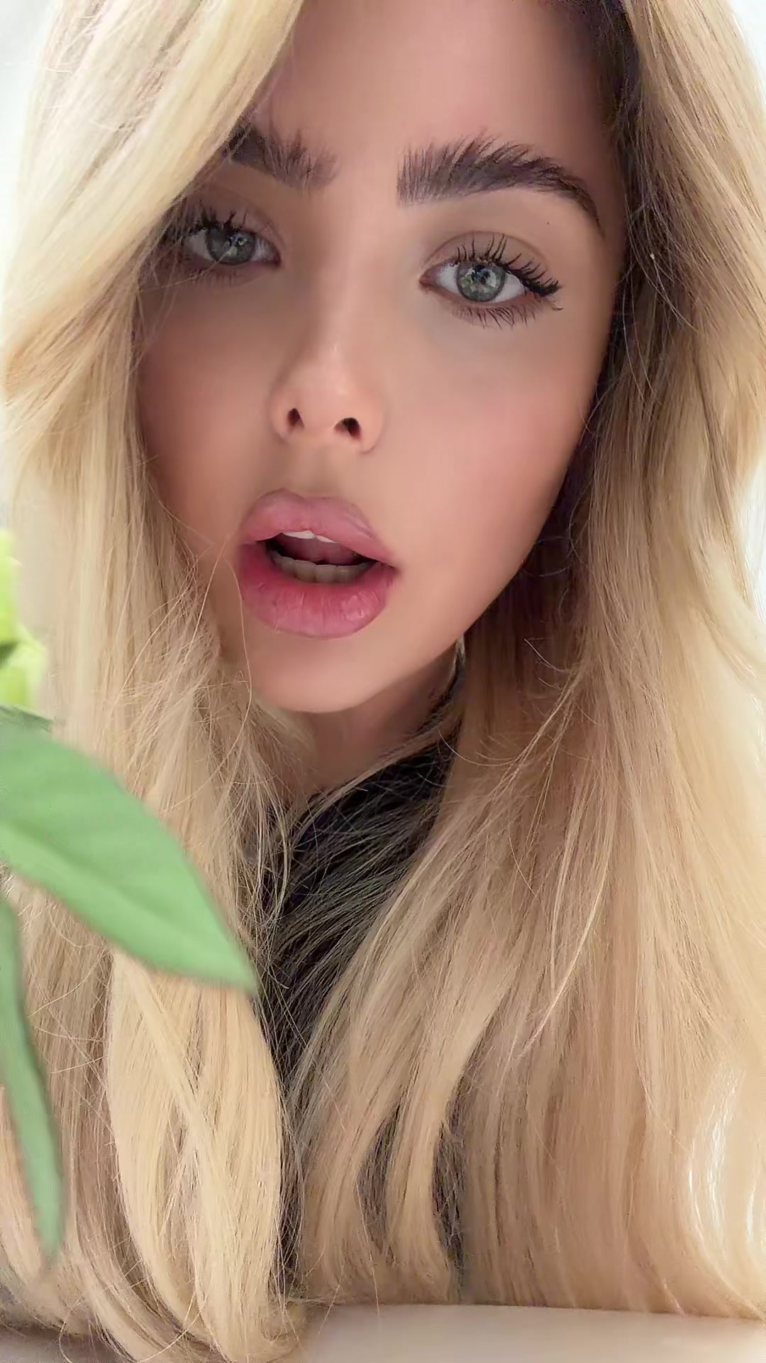 @Taya