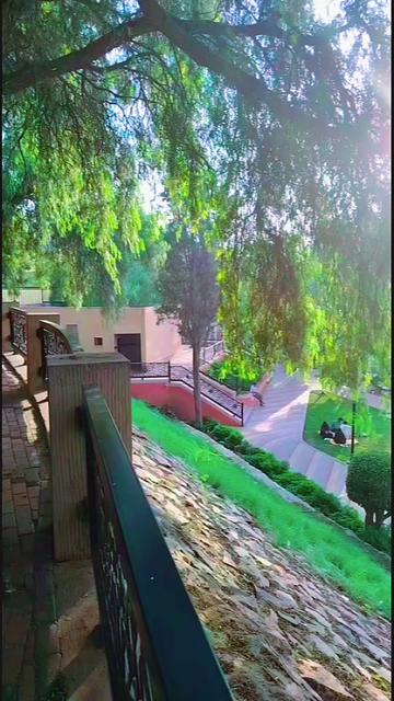 @sajjad