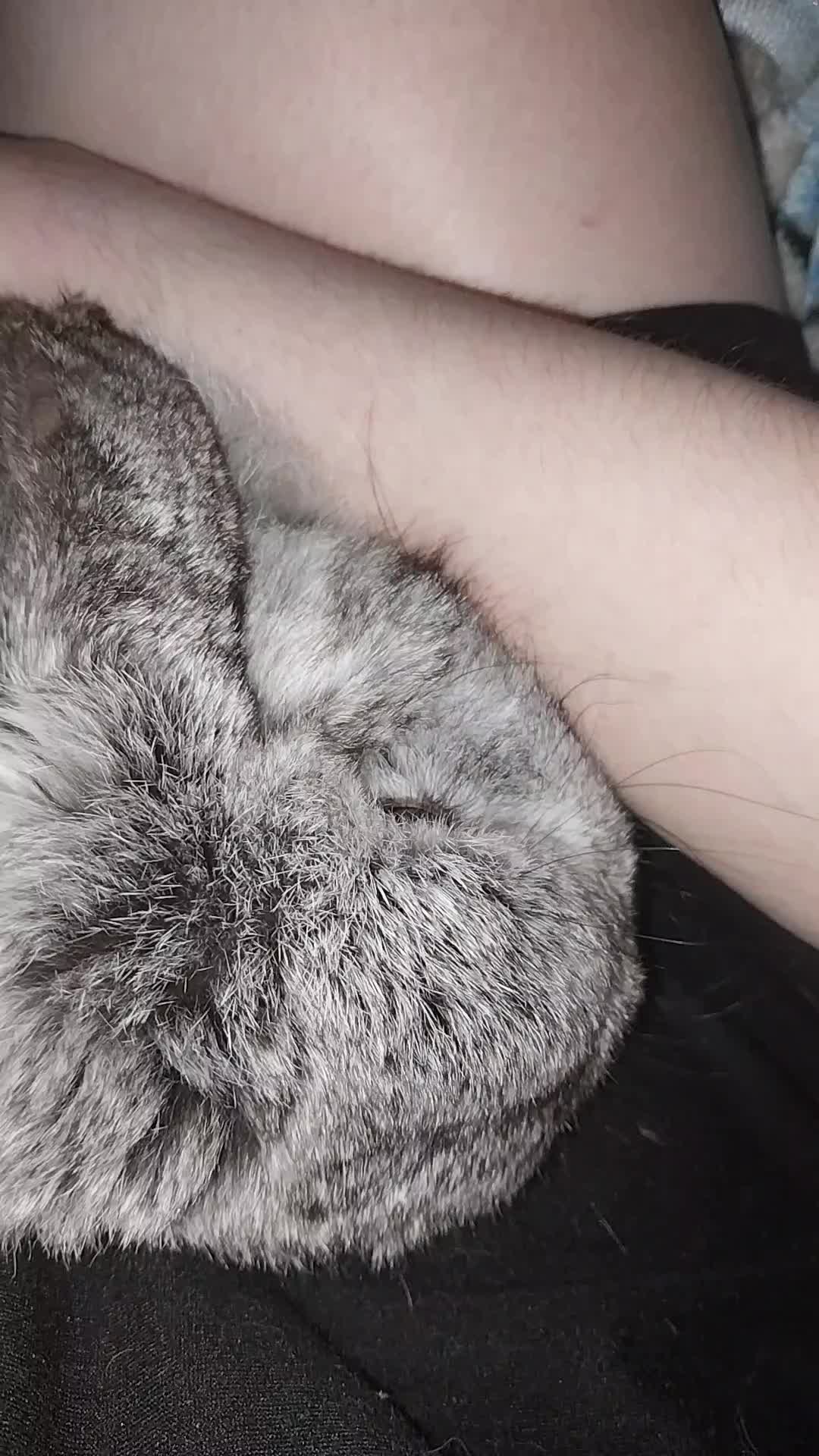 @Ashley🖤🖤🖤