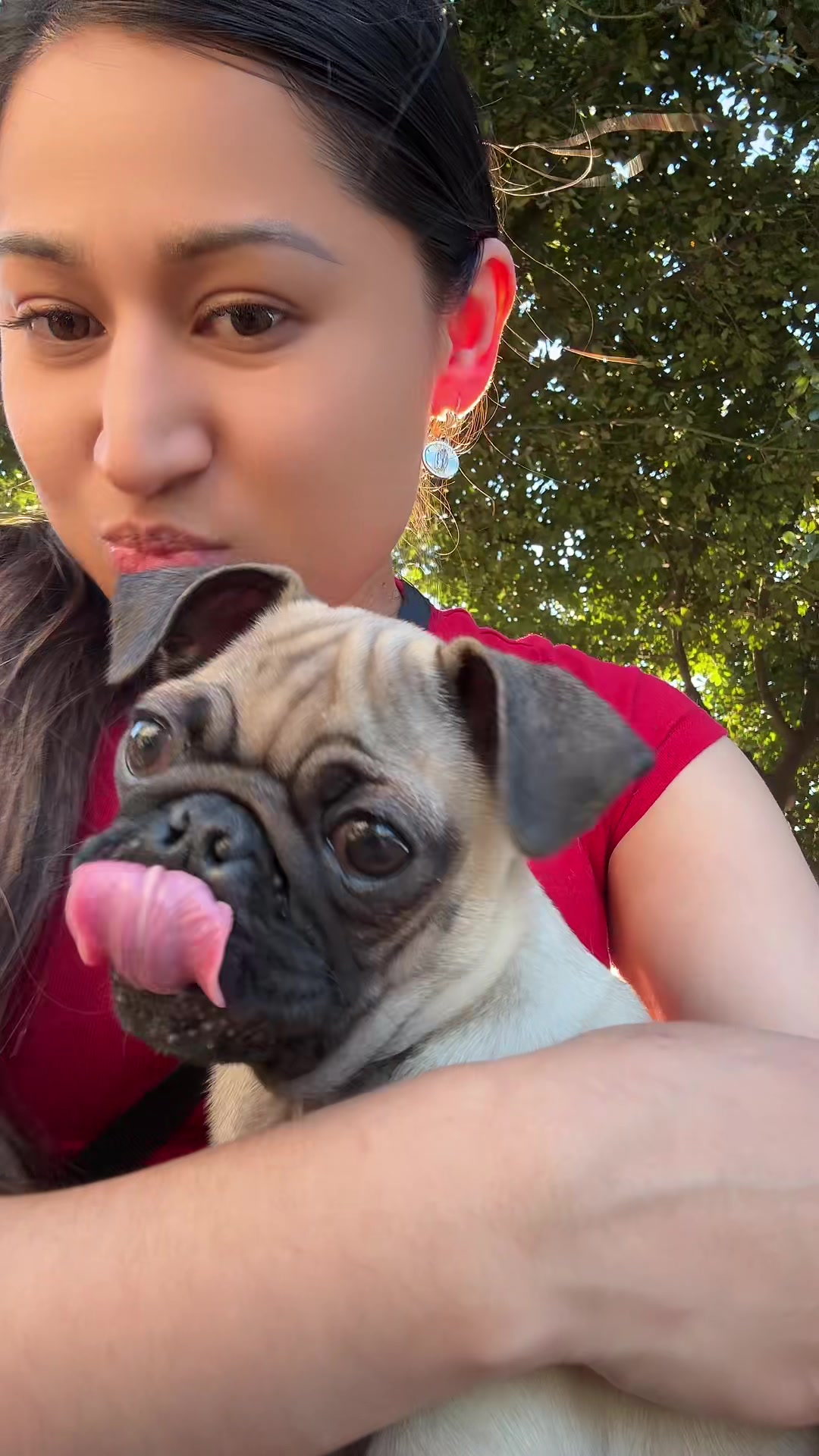 @Pogi y maganda pugs