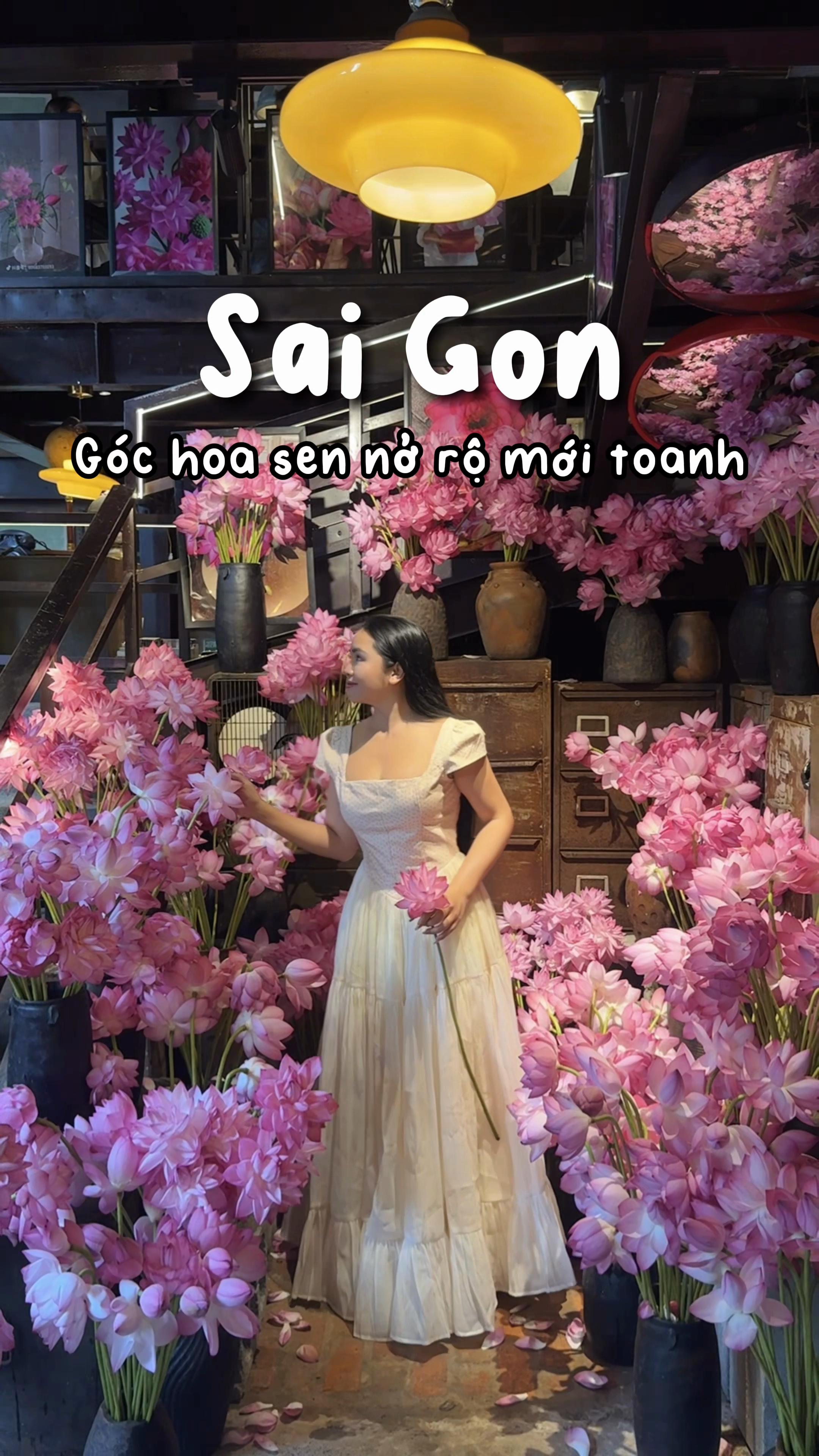 @1 ph&uacute;t S&agrave;i G&ograve;n