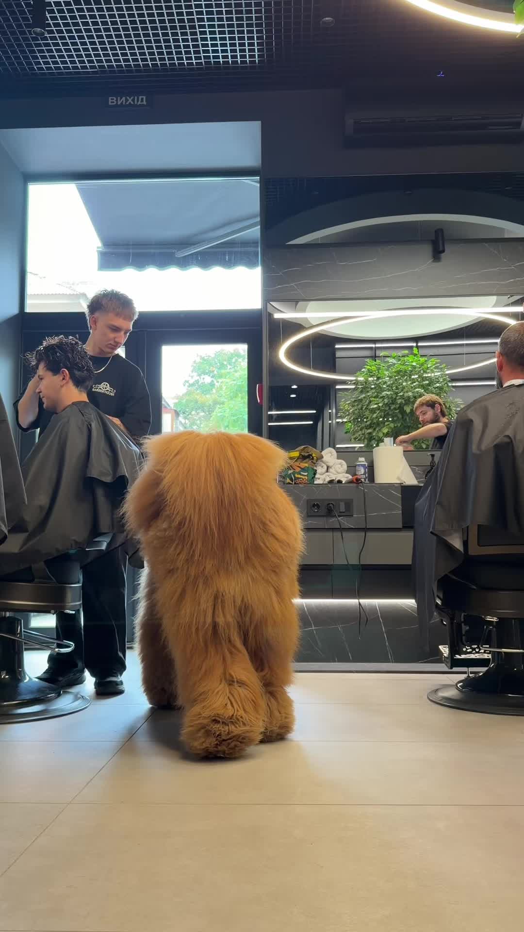 @Джампер 🦁 Jumper