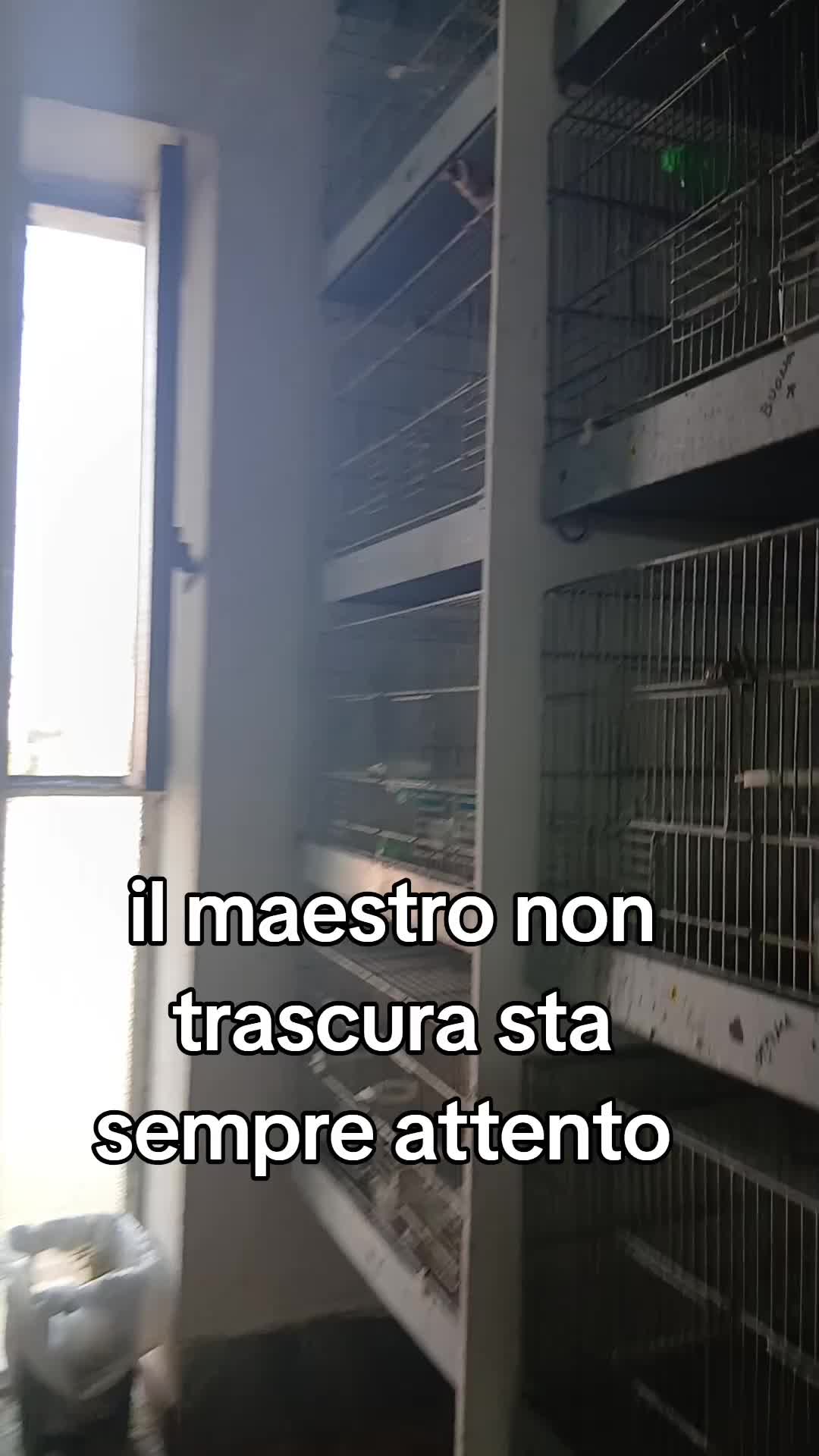 @Leonardo Dellacorte