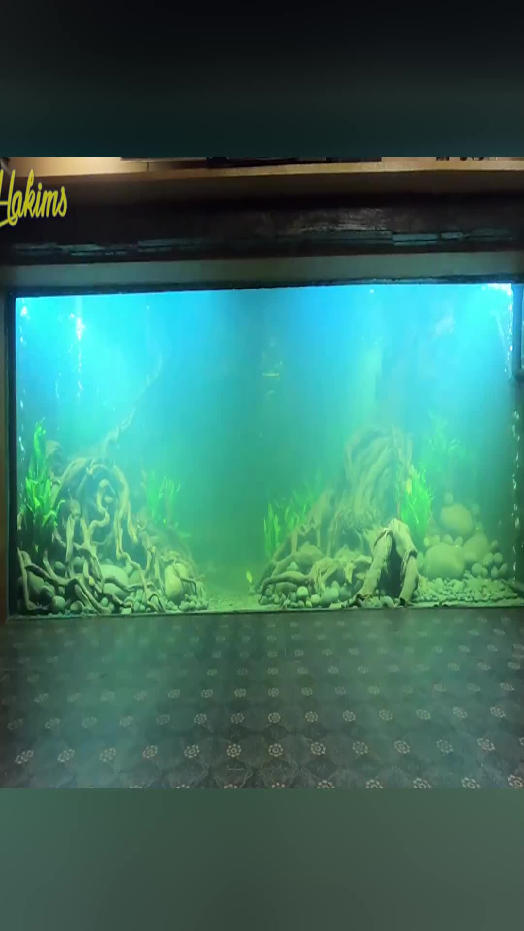 @thekingsguardsch.fan_597